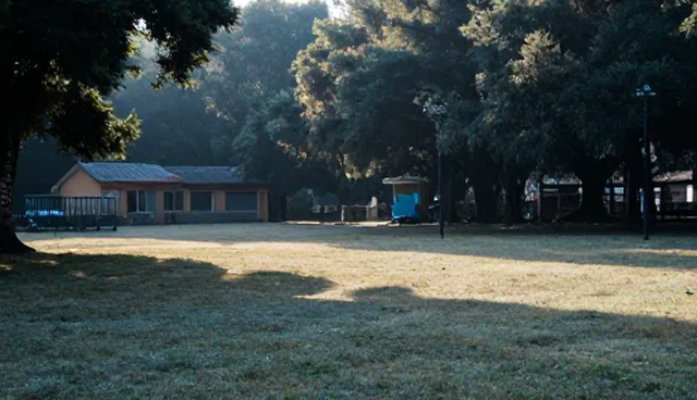 如何有效利用供需自动匹配功能提升本地企业资源利用率